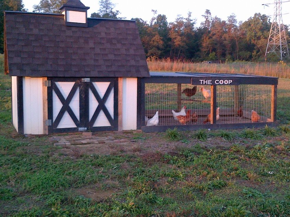 Old World Garden Farms/Hometalk.com