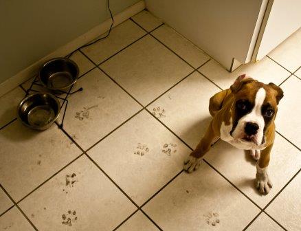 Footprints on tile floor  Jayca / flickr