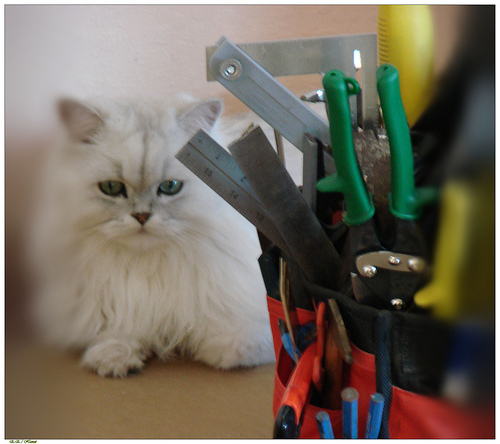 home repairs