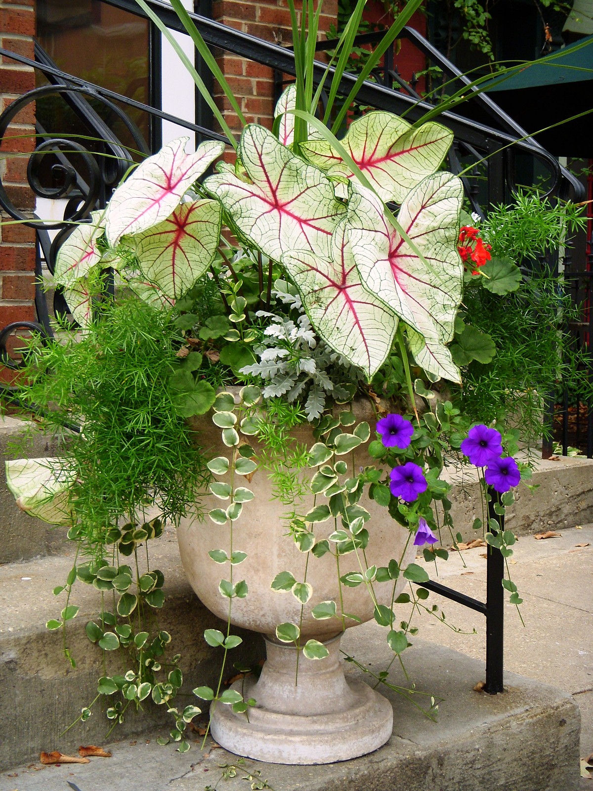 Pottery, Decor, Plantscape Design, Maintenance | Botanicals Design, image size:1200x1600