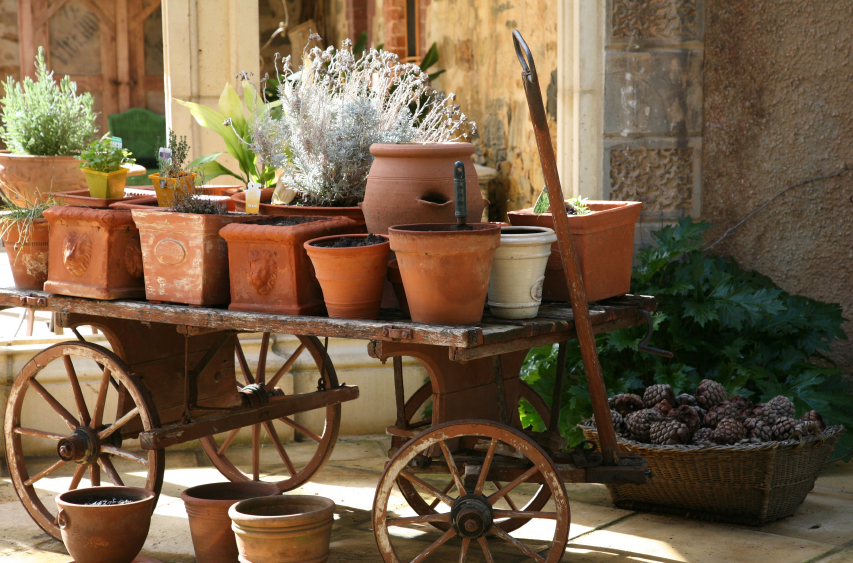 A vintage cart holds an herb garden. Photo by bloodstone/istockphoto.com.