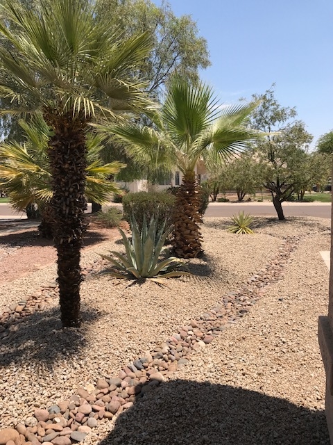 Arizona rock landscaping