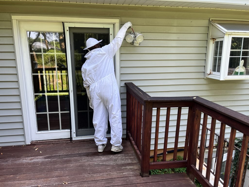 Hobbs Professional Termite & Pest Management Baltimore, MD, 21206 | Networx