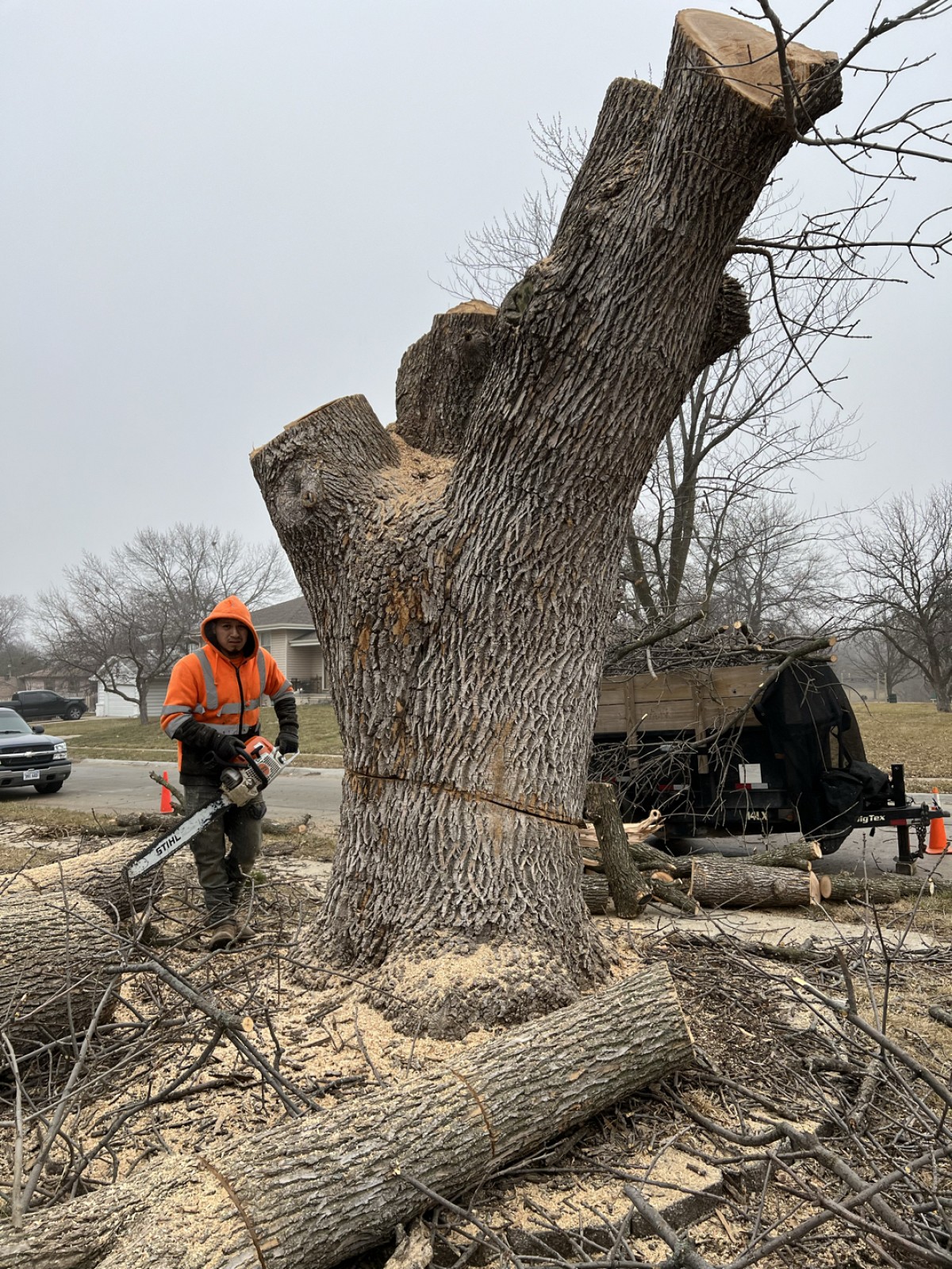 Gonzalez Velasquez Tree Service Valley, NE, 68064 | Networx