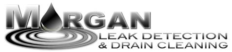 Morgan Leak Detection Fort Worth, TX, 76134 | Networx