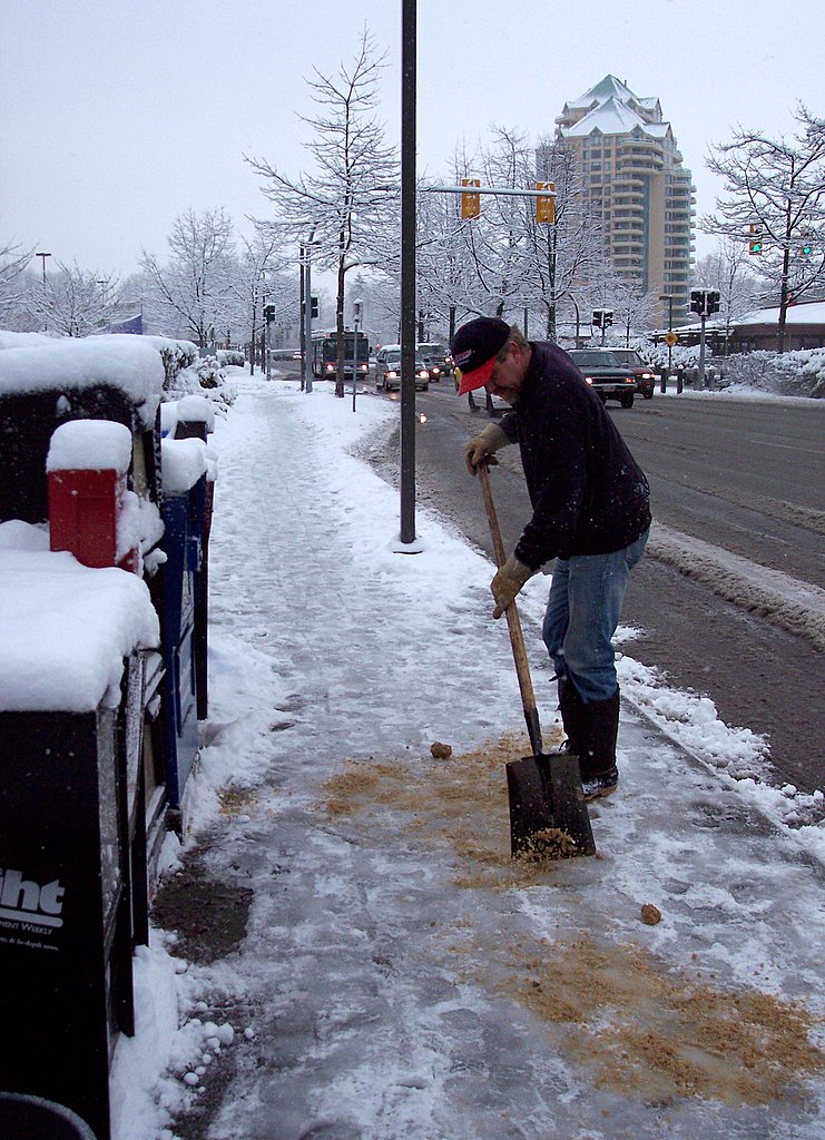 How Do You Clear Ice from Your Sidewalk? | Networx