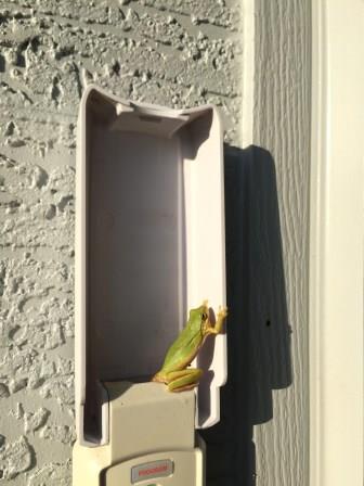 Why Isn't My Garage Door Keypad Working and How Do I Fix It? Networx